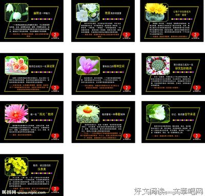 关于面南的格言