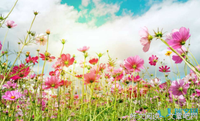 摘句子大全