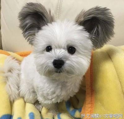 抛弃相处10年温和男友，转投高帅大中产|慕强后的炼狱