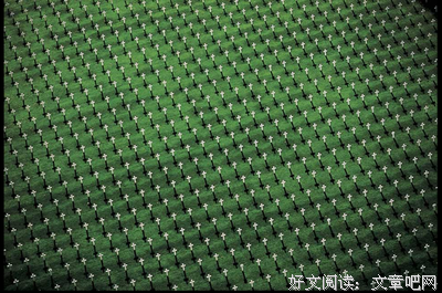猜猜谁和谁睡了