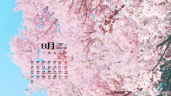 《小森林》经典影评10篇
