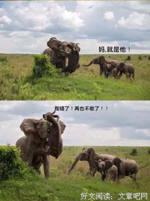 男生谈恋爱相当于“整容”吧？