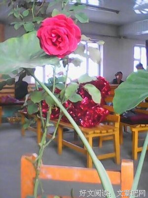 七色彩虹的语句摘抄_关于七色彩虹的语句