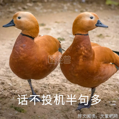 话不投机半句多格言警句