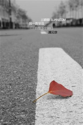 浮华的句子