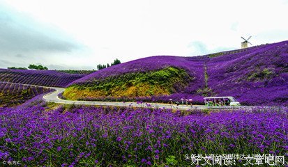 有毒的花花的句子
