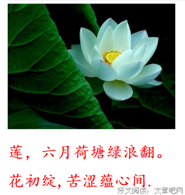 有关悠的句子