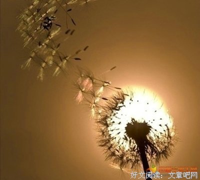 有关句的句子