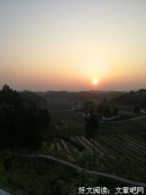 《米娅和白狮》的观后感10篇