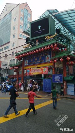 不如随心去生活读后感精选10篇