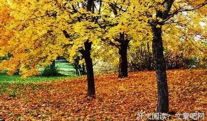 第四名的句子