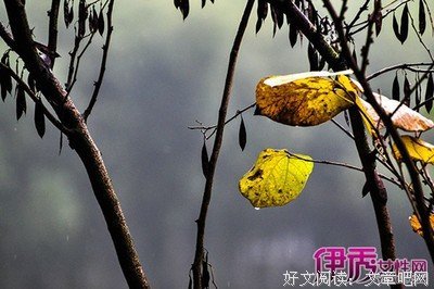受宠若惊的句子