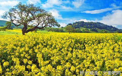 关于莫名年觉天说相的优美句子