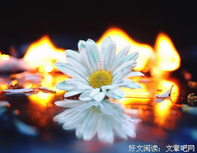 关于闲杂的句子