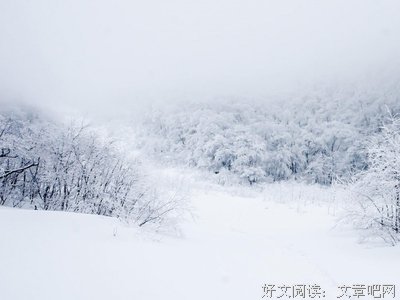 灵心似雪句子
