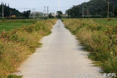 寒露：秋深露重，勿忘添衣
