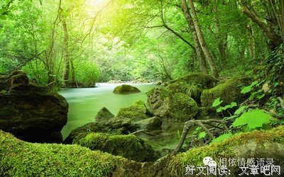 想活得更漂亮点