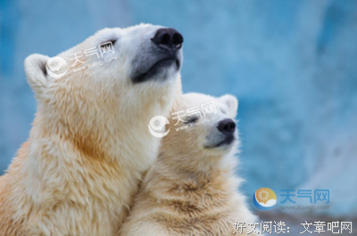冷时光句子