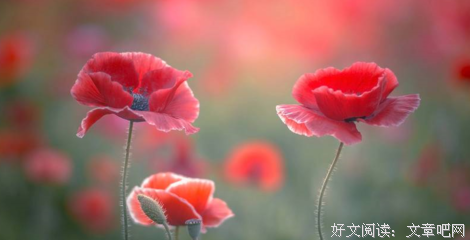 三句话，提升人生格局