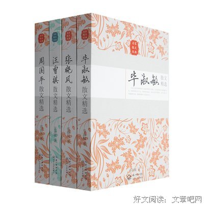 关于现代名家（毕淑敏）的句子