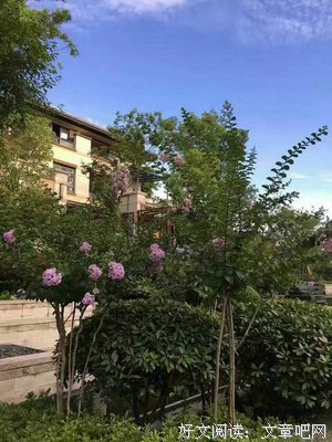 南山下。