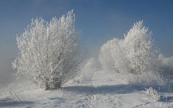 青真杨比为雪格到的句子