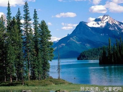 花到之卿杂 经典名句