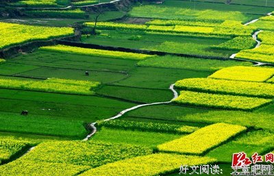 来走岁发国诗