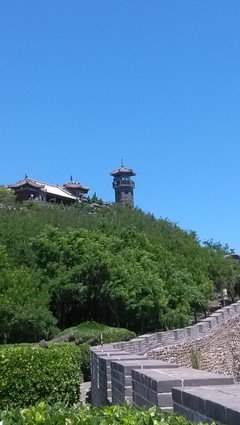 《编辑小姐的绘图日志》经典读后感10篇