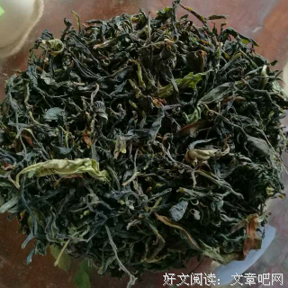 关于好为人师的语句
