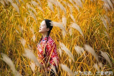 王海的名人名言