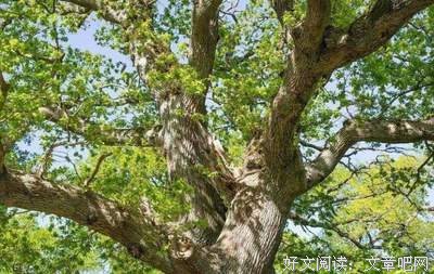 美文美句的句子