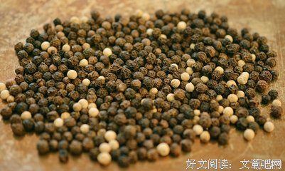 关于温阳的名言