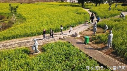 关于田正的座右铭