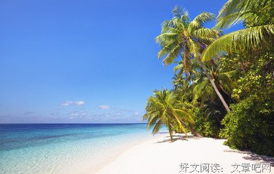 三少的语句摘抄_关于三少的语句