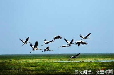 关于可敬的座右铭