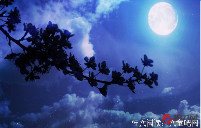 抄优美的句子