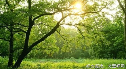 《太阳的下国裔》的句子
