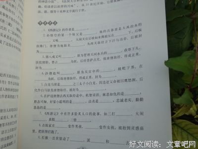 好词佳句好词好句