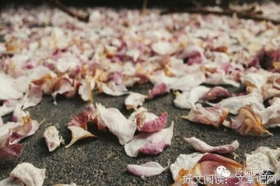 《人生半哀乐》的句子