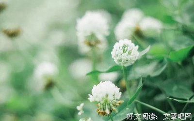 心 事（写的真好）