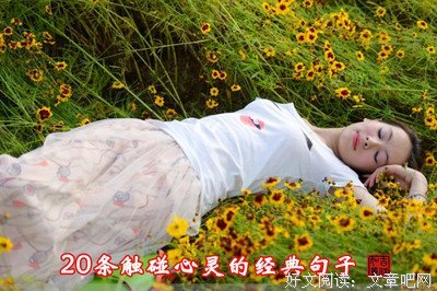 有个得了大我触碰不到优美的句子