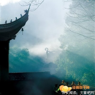 关于有缘的句子
