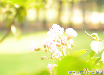 《太阳的如上裔》的句子