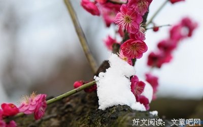 冰好词好句