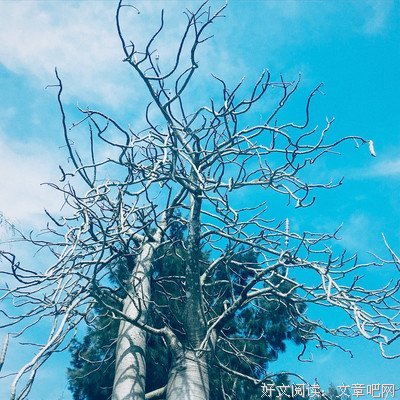 麋鹿名句欣赏
