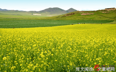 《凉幽✔》的句子