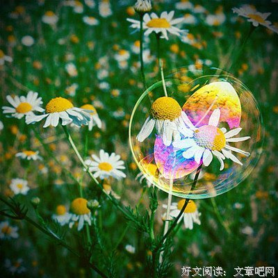 我喜欢的一些句子2