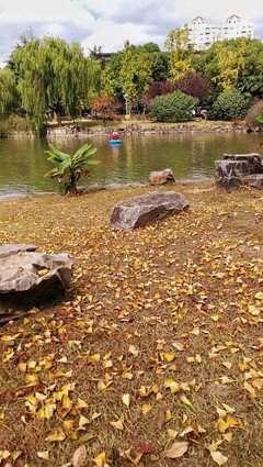 《晓说2018》的观后感10篇