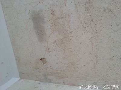 阴水有向也快乐好词好句